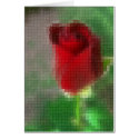 Mosaic Crimson Red Rose Angelic card