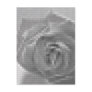Mosaic Essence of a Rose 3