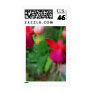 Mosaic Fuchsia 3