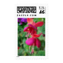 Mosaic Fuchsia 4 stamp