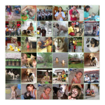 Mosaic of Photos by Amazon CARES charity posters by MMednikow Mosaic of Photos by Amazon CARES charity posters