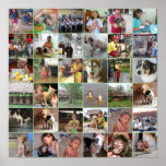 Mosaic of Photos by Amazon CARES charity posters