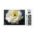 Mosaic Painted White Rose 5 stamp