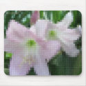 Mosaic Pale Pink Amaryllis 4 mousepad