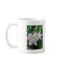 Mosaic Pale Pink Amaryllis 4