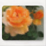 Mosaic Peach Rose 1 Oil