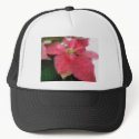 Mosaic Pink Poinsettia 2 hats by MosaicArtwork Mosaic Pink Poinsettia 2 hats