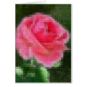 Mosaic Pink Rose 2 Intense card