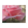 Mosaic Pink Rose 3 Angelic