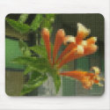 Mosaic Pyrostegia Venusta Flame Vine 1 mousepad