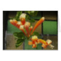 Mosaic Pyrostegia Venusta Flame Vine 2 card
