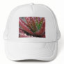 Mosaic Red-Green Aloe