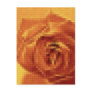 Mosaic Rose Burning 1