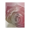 Mosaic Rose - Subdued Red Pink Mauve postcards