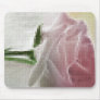 Mosaic Single Pink Rose Basics
