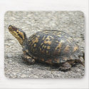 Mosaic Turtle mousepads by amwesley Mosaic Turtle mousepads