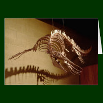 Mosasaur - "Sea Lizard" cards