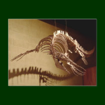 Mosasaur - "Sea Lizard" postcards