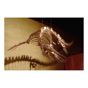 Mosasaur - "Sea Lizard" posters by cunningba Mosasaur - "Sea Lizard" posters