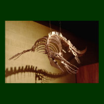 Mosasaur - "Sea Lizard" posters