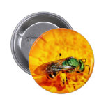 Mosca verde pins