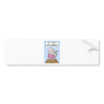 moses commandments diversity priority bumper stickers