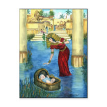Moses in a Basket Postcard by SherryHolderHunt Moses in a Basket Postcard
