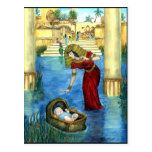 Moses in a Basket Postcard