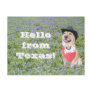 Moses in Bluebonnets Postcard