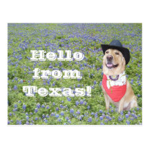 Moses in Bluebonnets Postcard