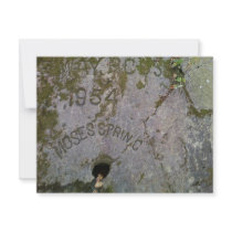 Moses Spring invitations