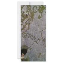Moses Spring rack cards