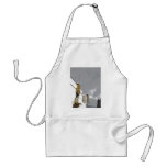 Mosman Park Memorial Park, Perth aprons