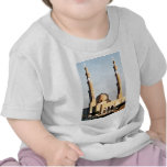 Mosque in Aswan Egypt T-shirt
