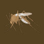 Mosquito