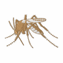 Mosquito Embroidered Hoody