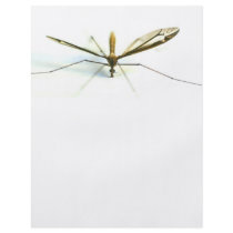 mosquito personalized flyer