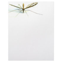 mosquito letterhead