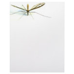 mosquito letterhead