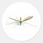 mosquito round sticker