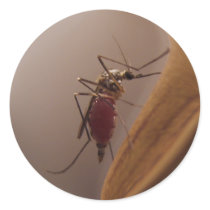 Mosquito ~ sticker
