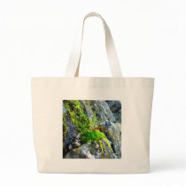 moss bags by Eyefish moss bags