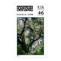 Moss Canopy Stamp