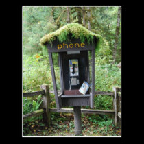 Moss covered phone booth postcards