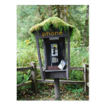 Moss covered phone booth post cards