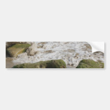 Moss covered rocks, bumper sticker