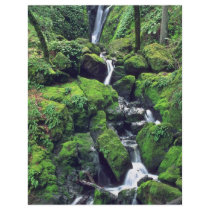 Moss Covered Slope Personalized Flyer