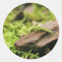 Moss Covered Stones Stickers