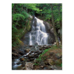 Moss Glen Falls Green Mountains Vermont Postcards