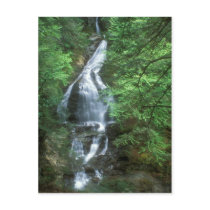 Moss Glen Falls Stowe Vermont Postcards